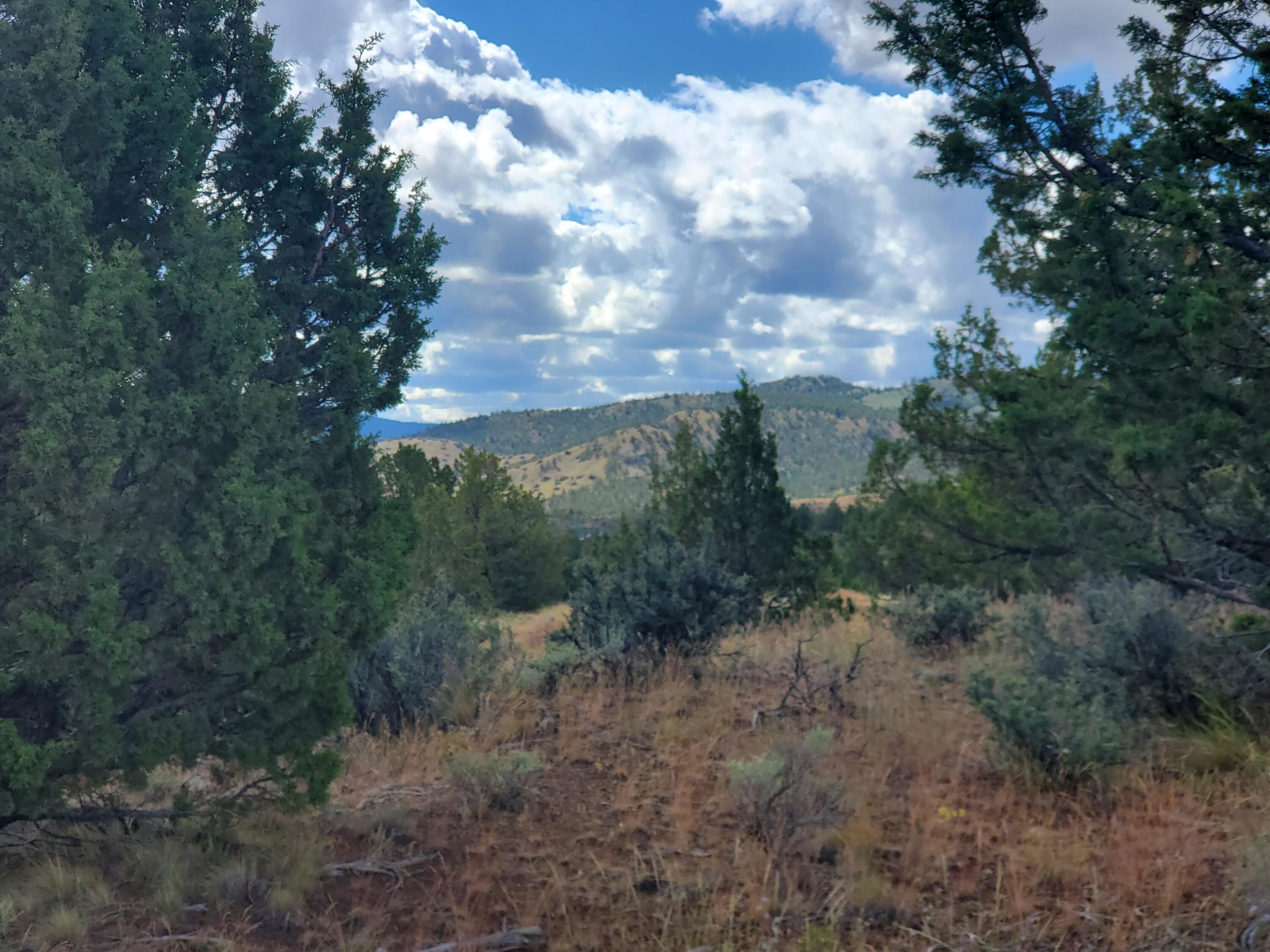 Riverside Ranch - Land