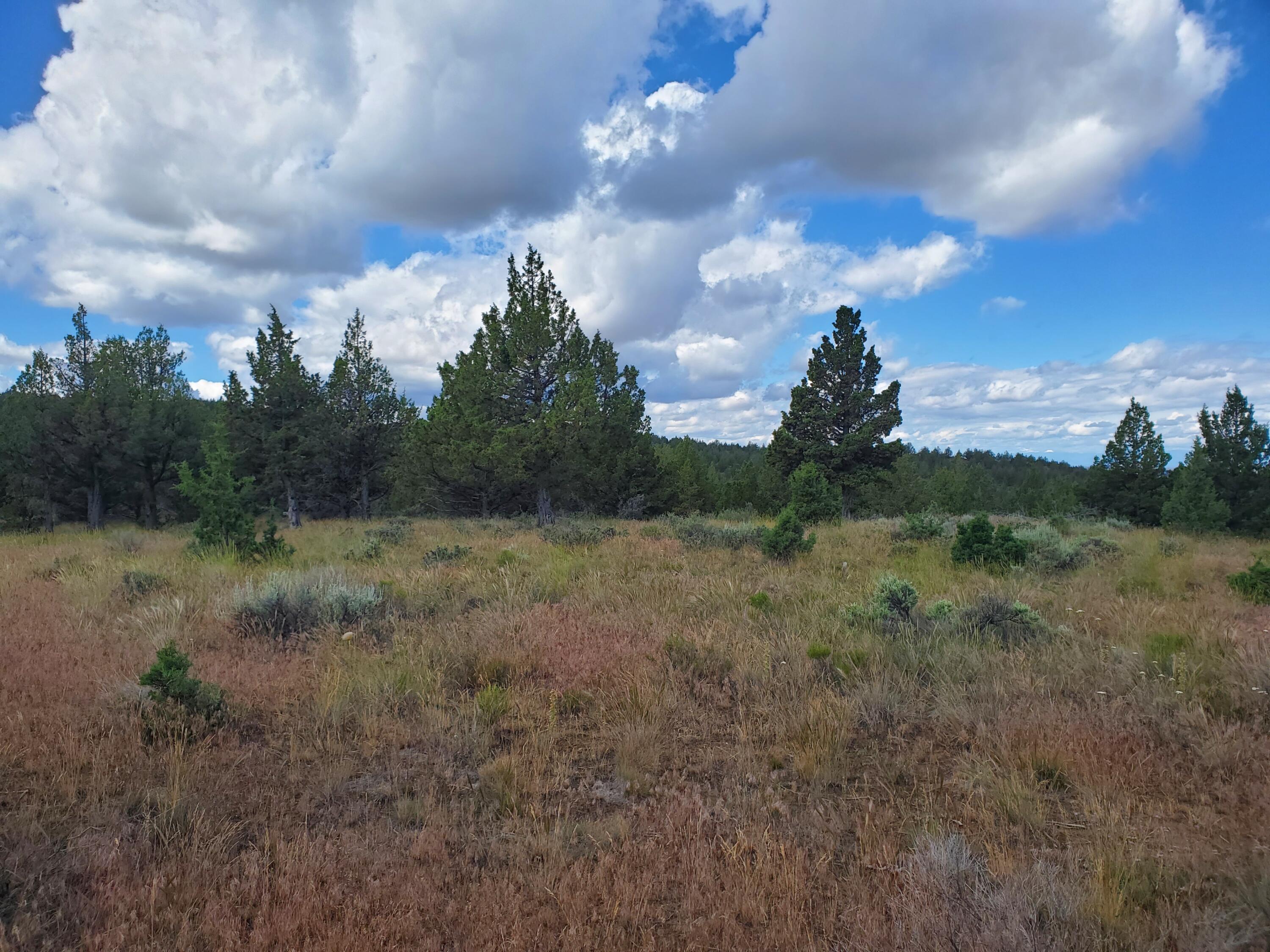 Riverside Ranch - Land