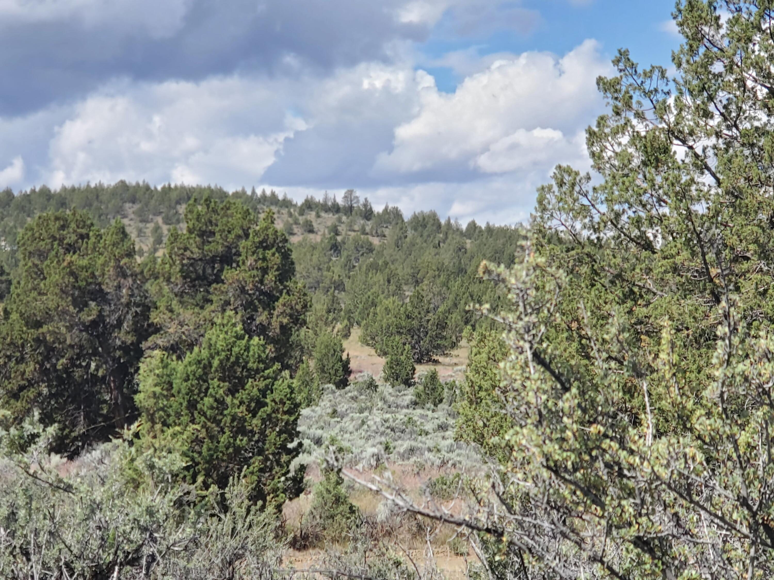 Riverside Ranch - Land