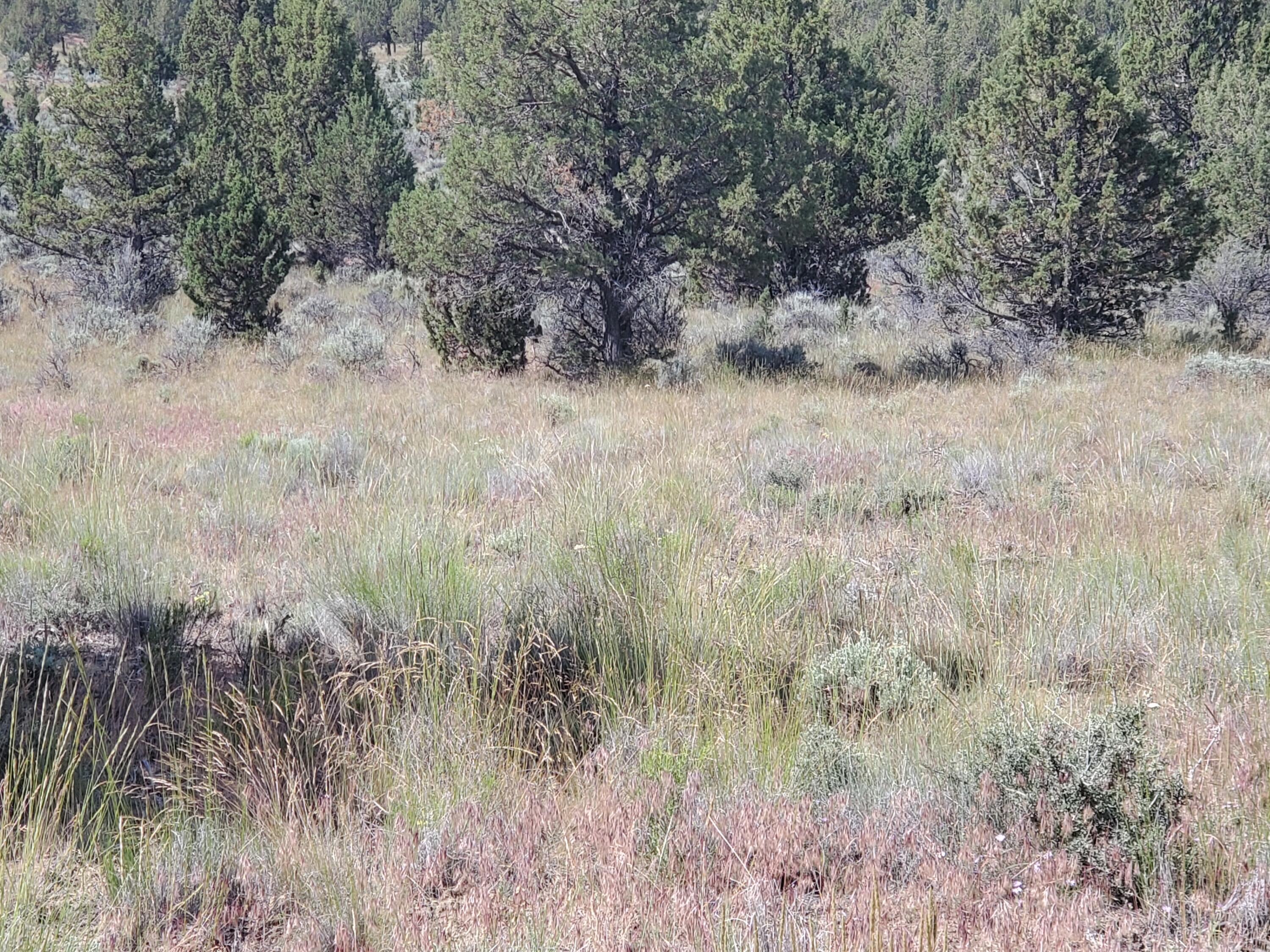 Riverside Ranch - Land