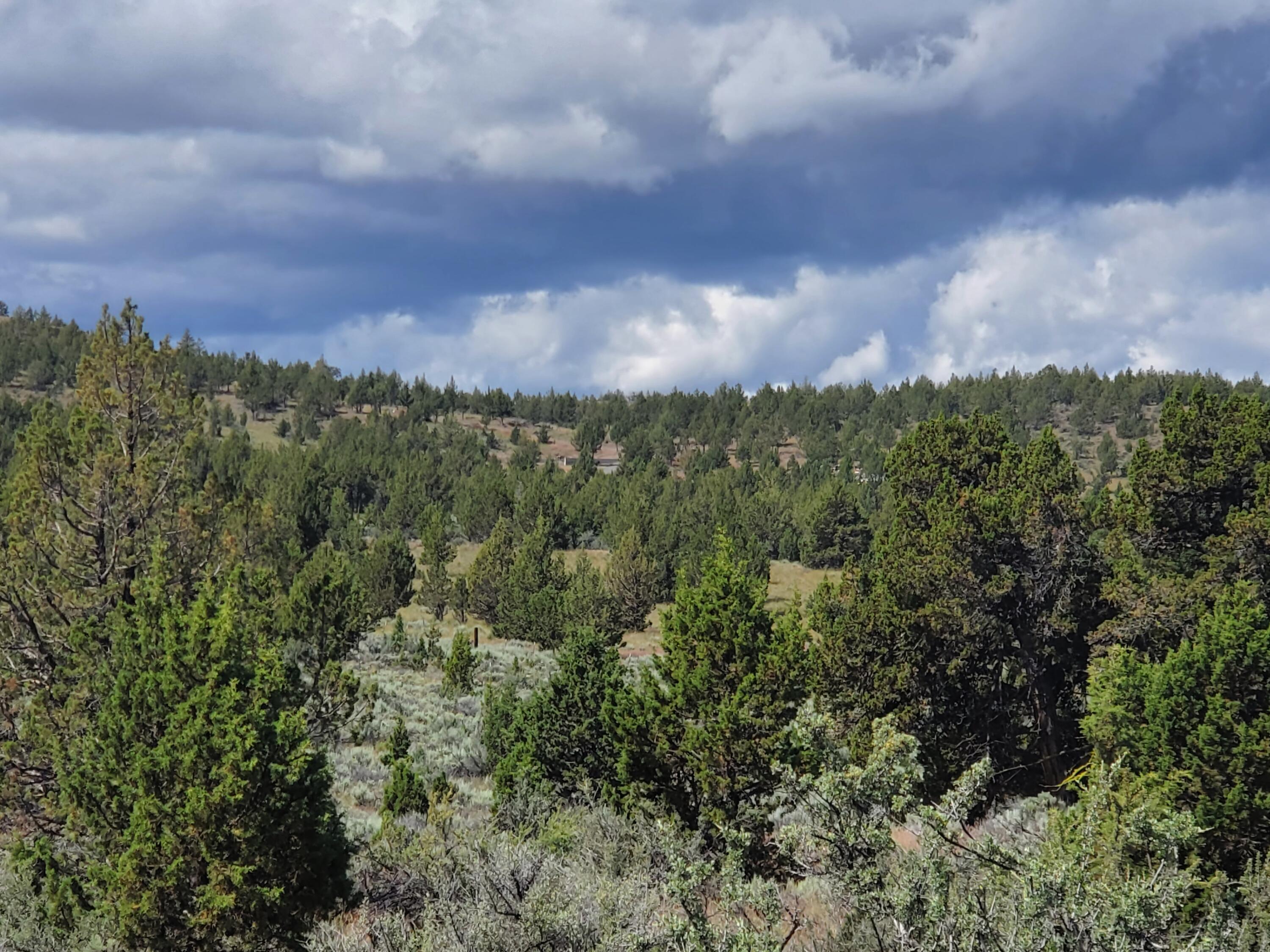 Riverside Ranch - Land