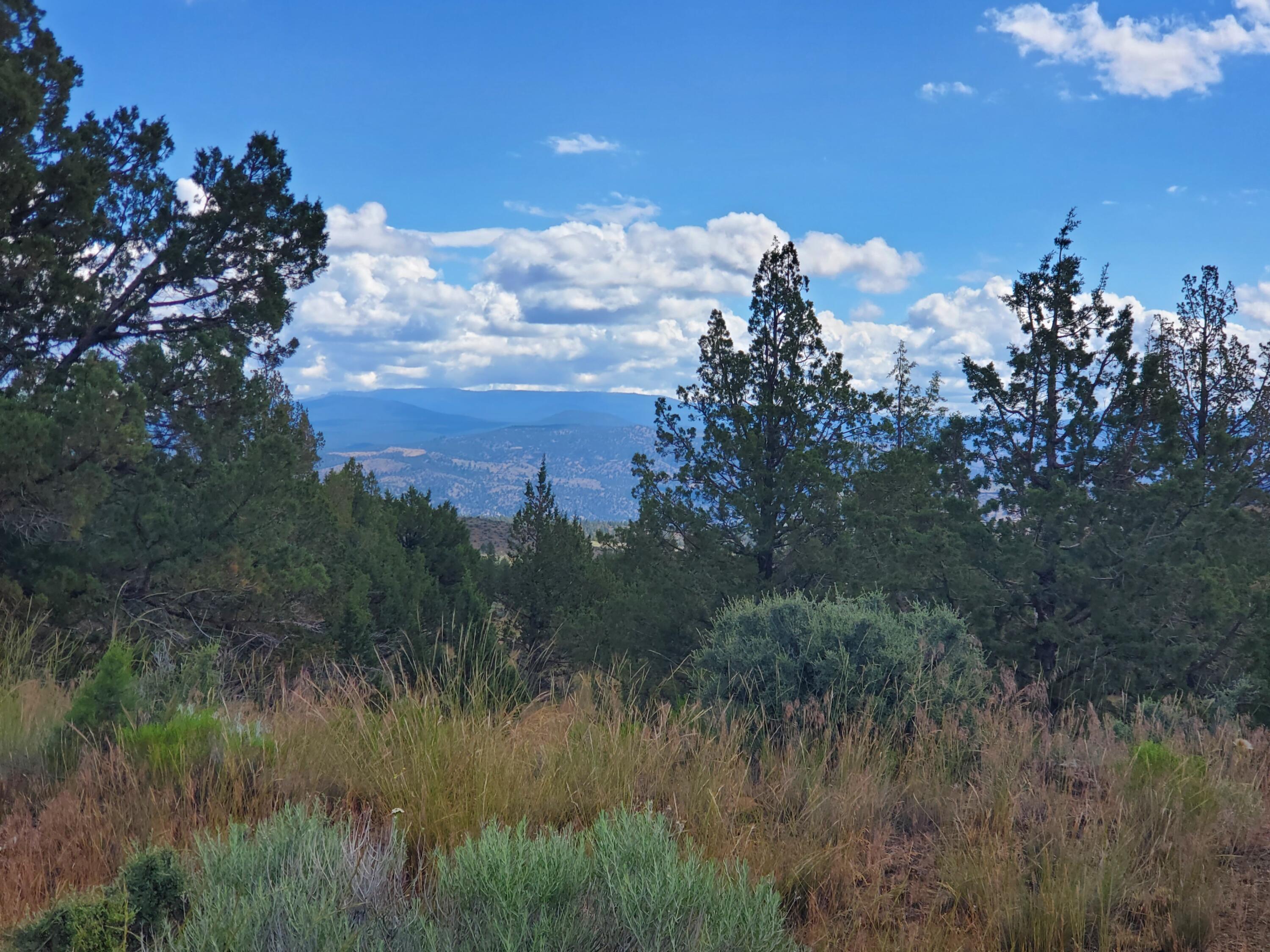 Riverside Ranch - Land