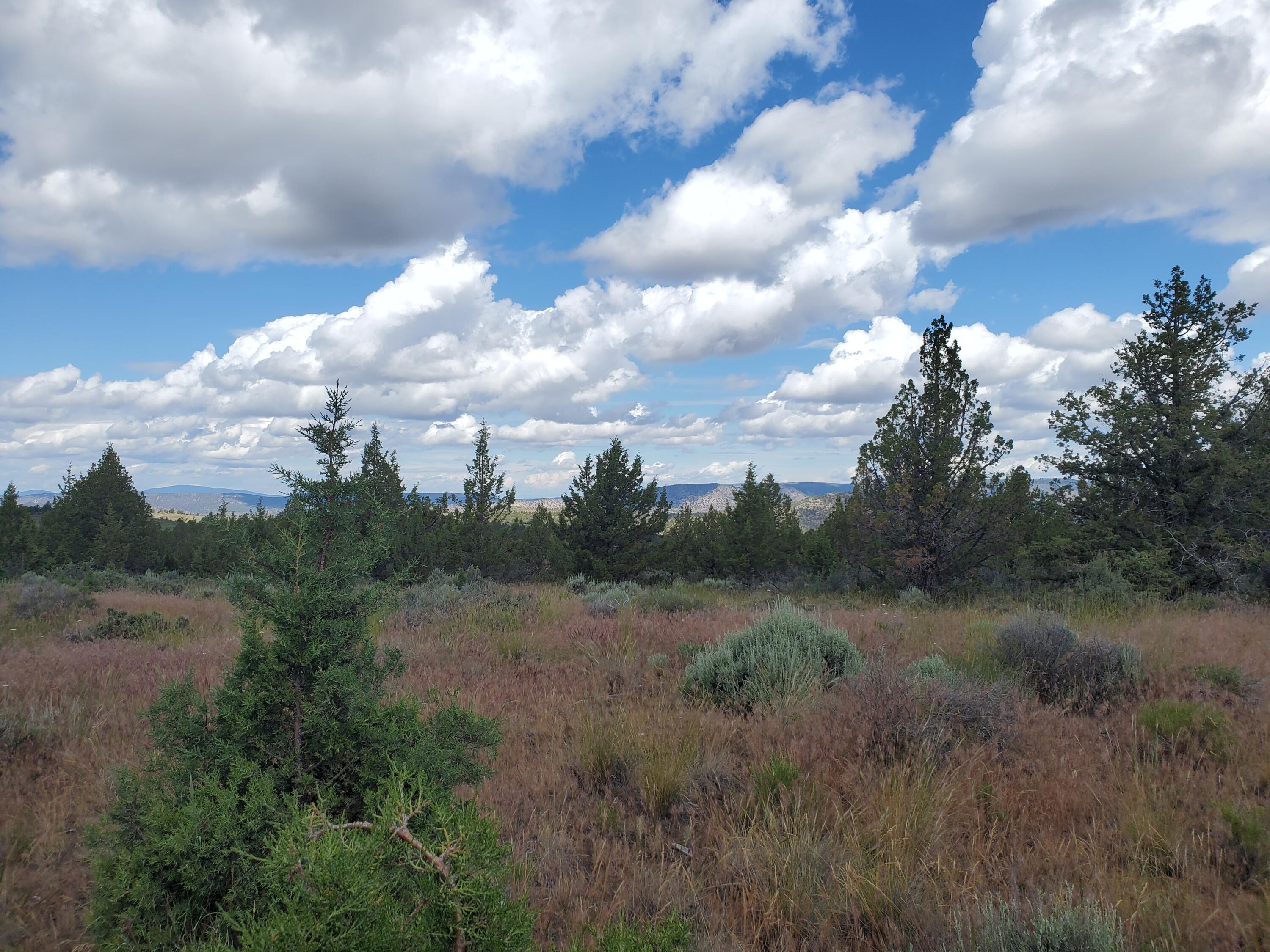 Riverside Ranch - Land