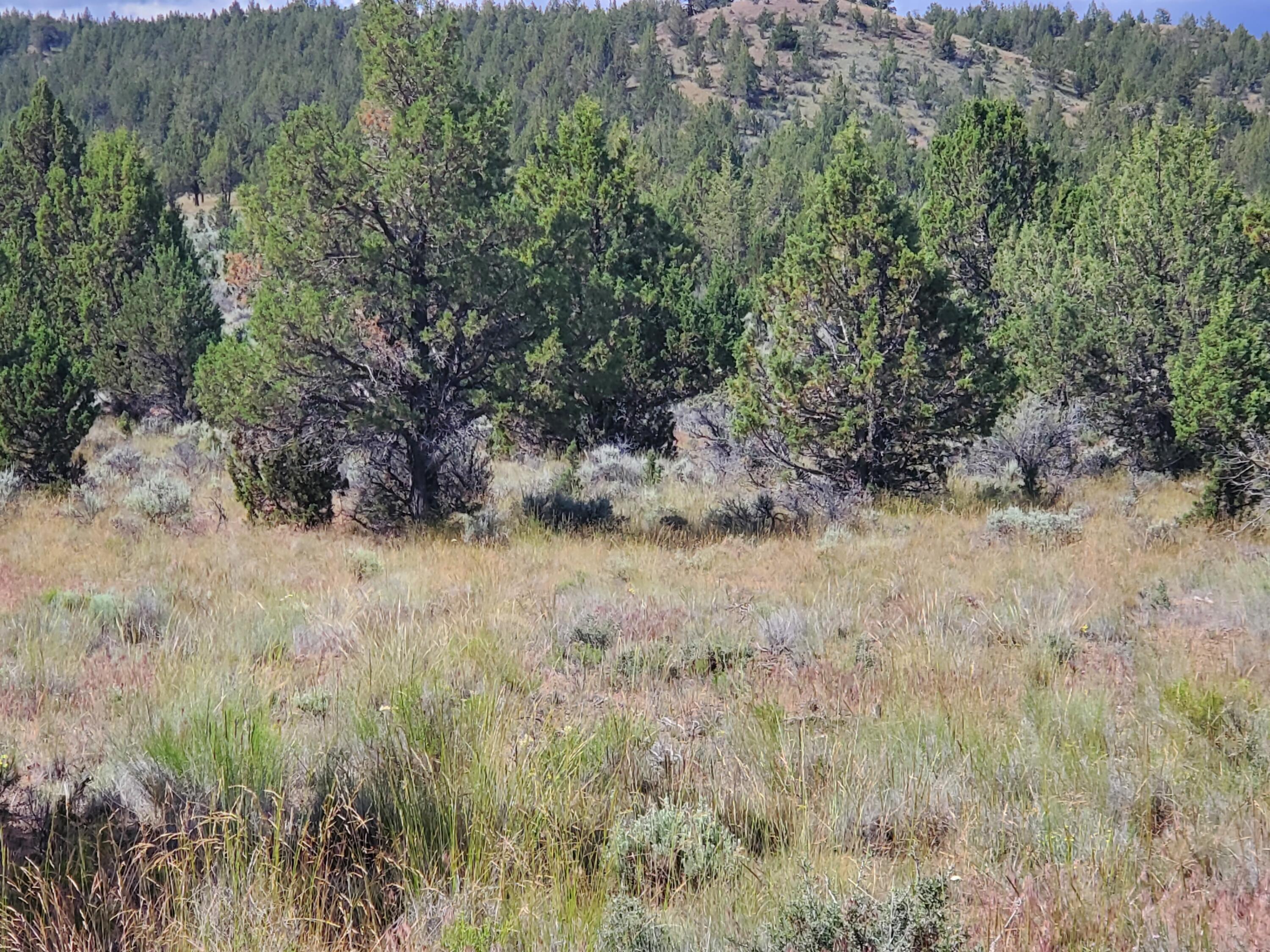 Riverside Ranch - Land