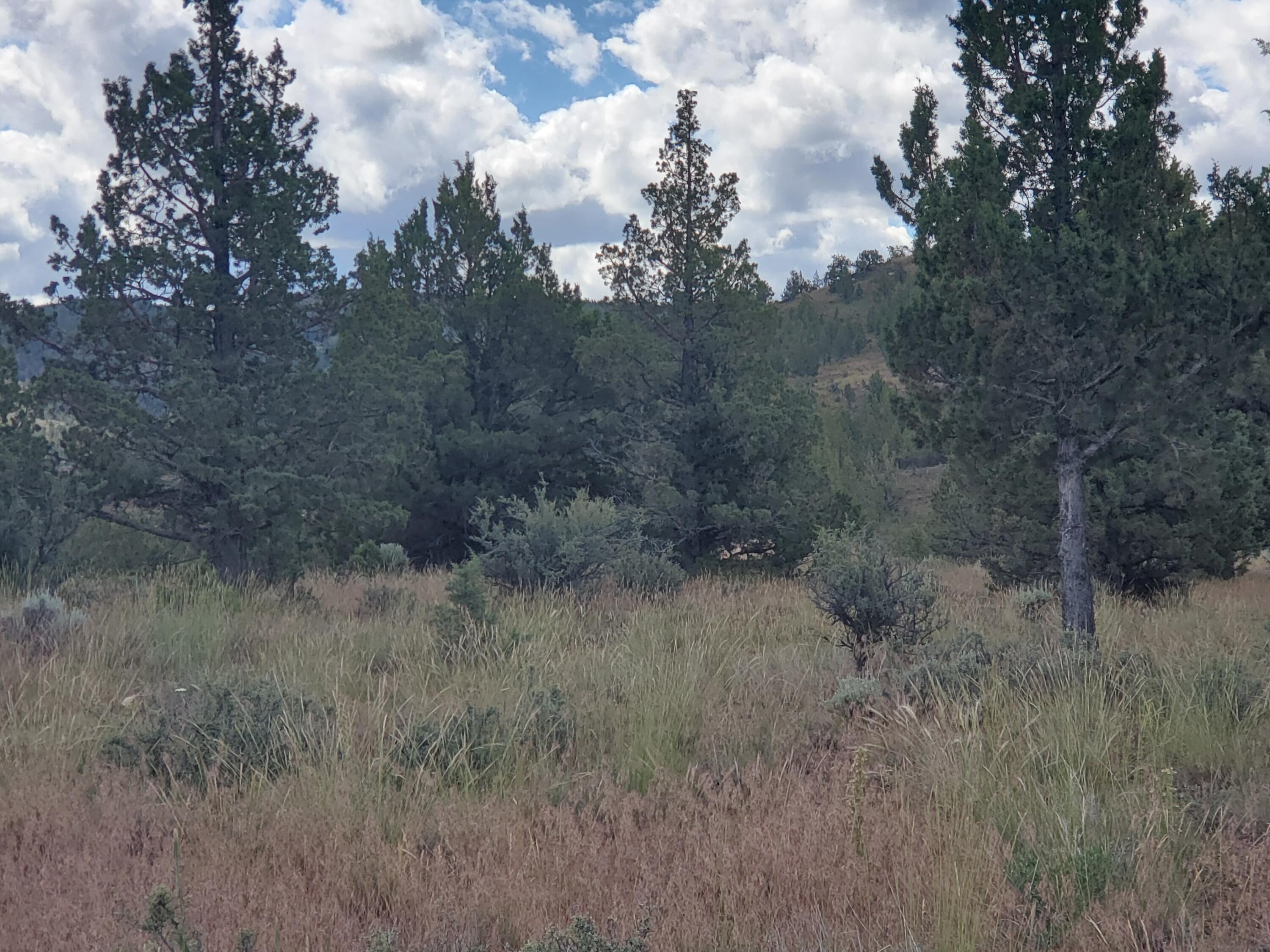 Riverside Ranch - Land