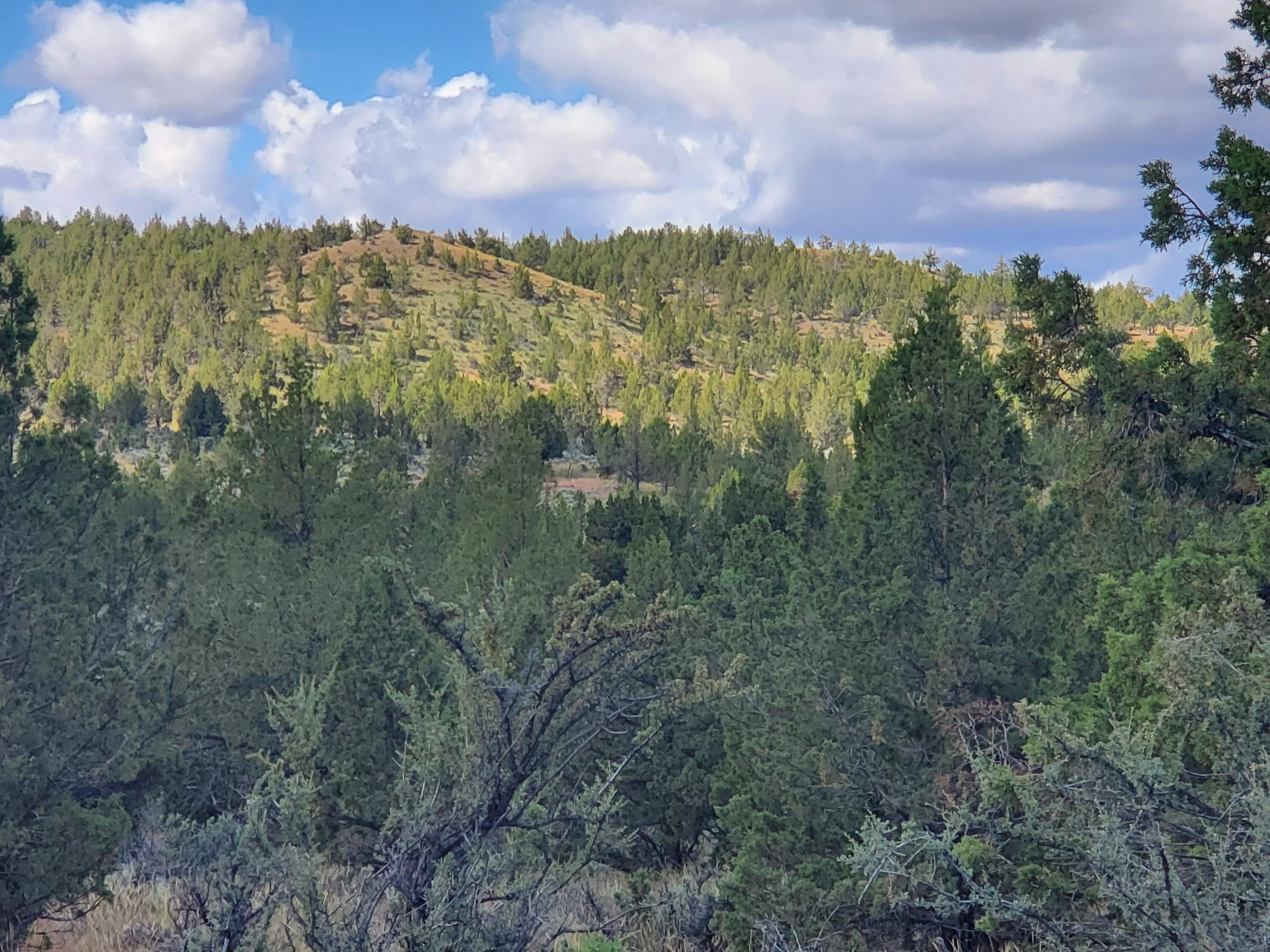 Riverside Ranch - Land