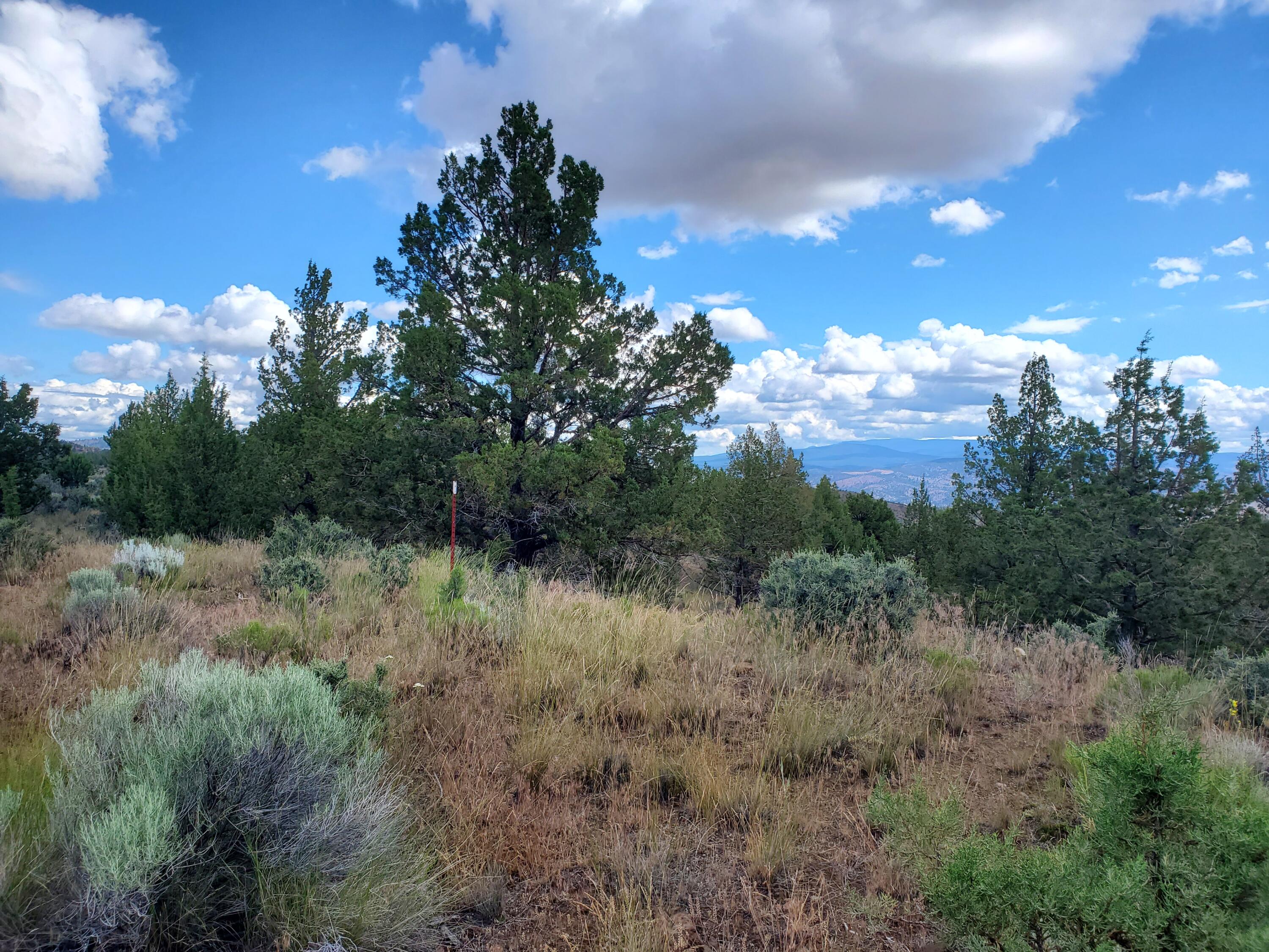 Riverside Ranch - Land