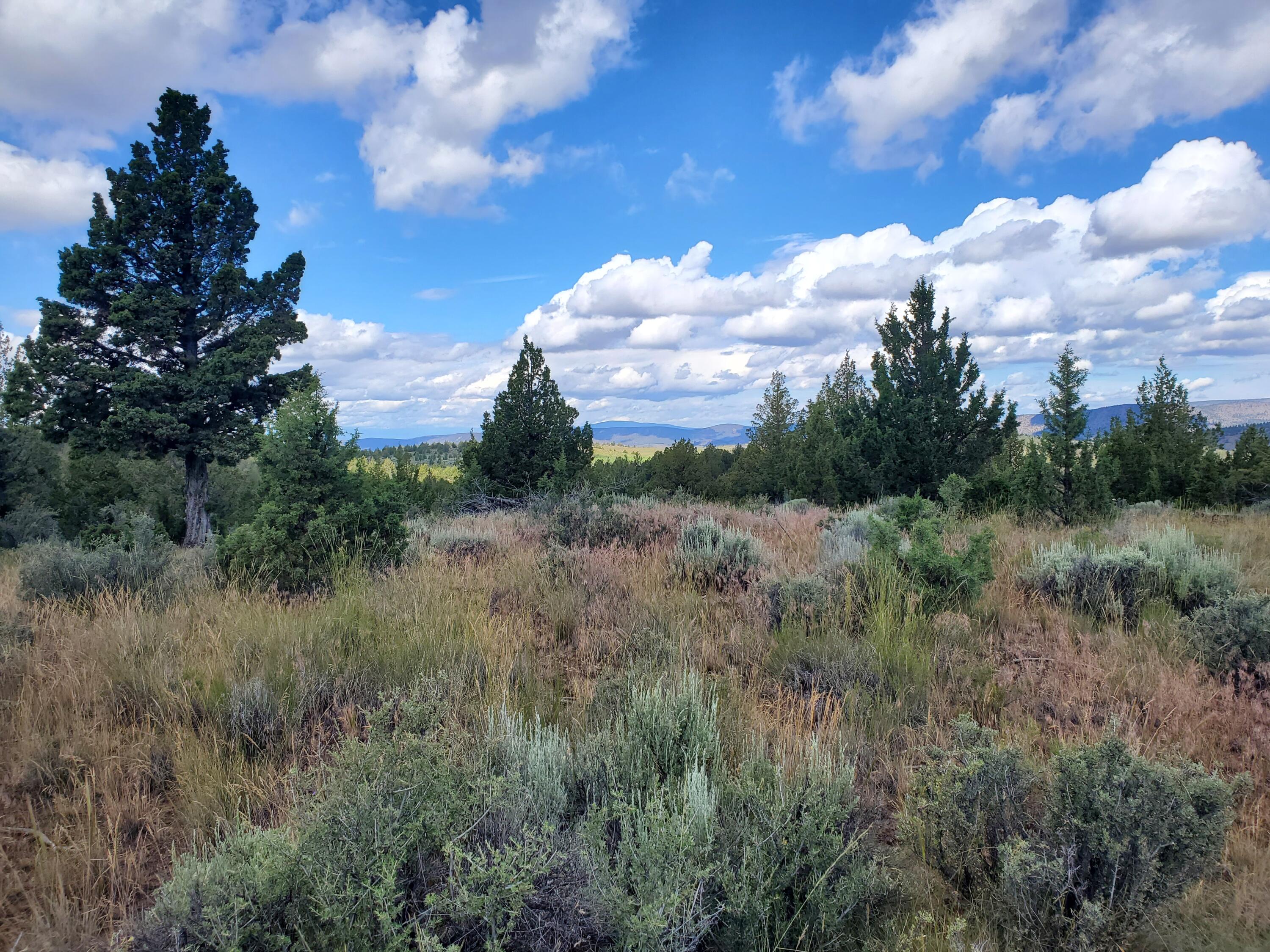 Riverside Ranch - Land