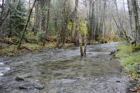 Tiny photo for 8843 Deer Creek Road, Selma, OR 97538 (MLS # 220214958)