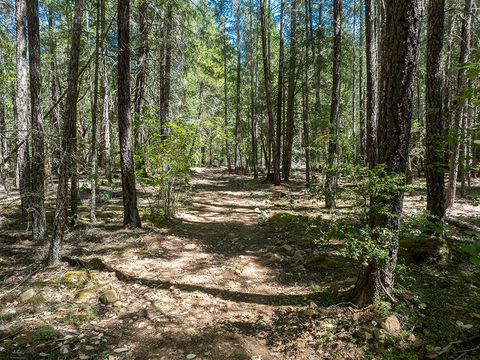 Tiny photo for 8843 Deer Creek Road, Selma, OR 97538 (MLS # 220214958)