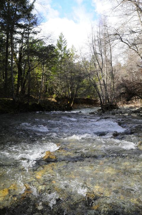 Tiny photo for 8843 Deer Creek Road, Selma, OR 97538 (MLS # 220214958)