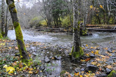 Tiny photo for 8843 Deer Creek Road, Selma, OR 97538 (MLS # 220214958)