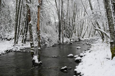 Tiny photo for 8843 Deer Creek Road, Selma, OR 97538 (MLS # 220214958)