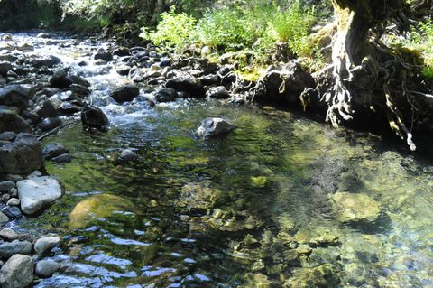 Tiny photo for 8843 Deer Creek Road, Selma, OR 97538 (MLS # 220214958)