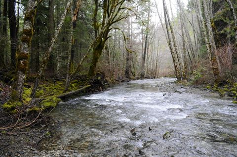 Tiny photo for 8843 Deer Creek Road, Selma, OR 97538 (MLS # 220214958)