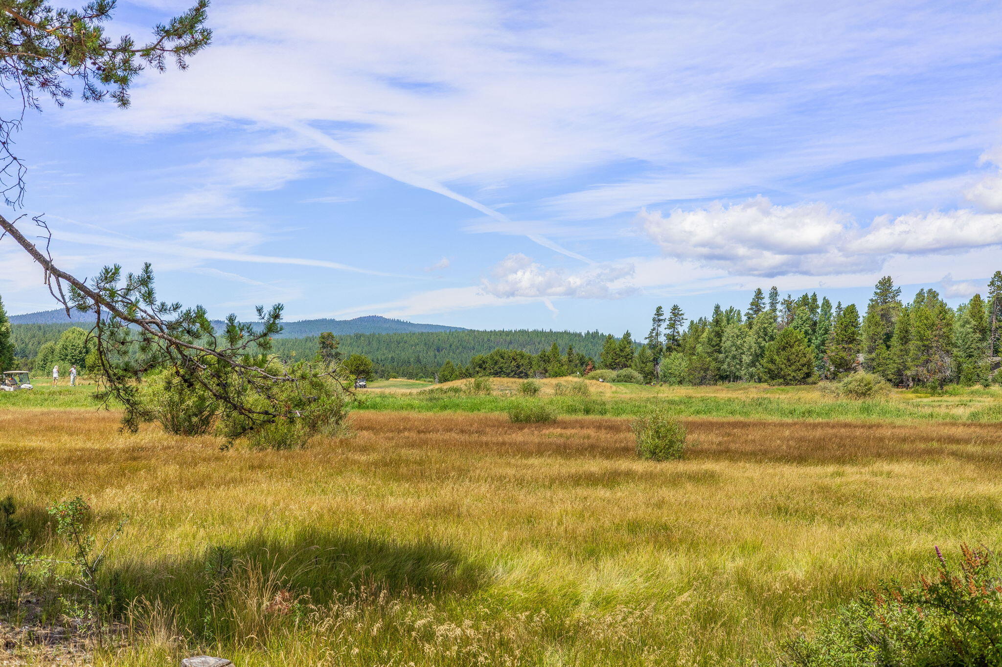 Meadow Village - Residential