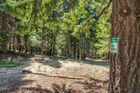 Tiny photo for 500 Mt Ashland Ski Road, Ashland, OR 97520 (MLS # 220223070)