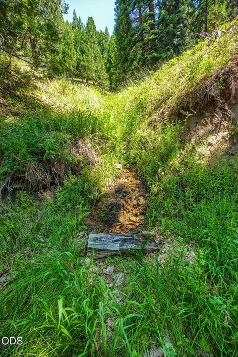 Tiny photo for 500 Mt Ashland Ski Road, Ashland, OR 97520 (MLS # 220223070)