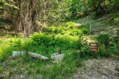 Tiny photo for 500 Mt Ashland Ski Road, Ashland, OR 97520 (MLS # 220223070)