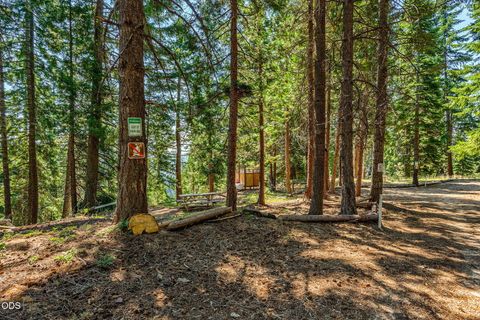Tiny photo for 500 Mt Ashland Ski Road, Ashland, OR 97520 (MLS # 220223070)