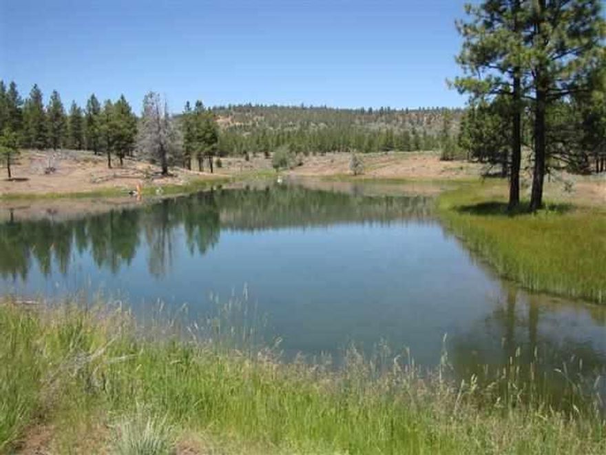 Private Secluded Riverfront Ranch Of Over 2000 Acres,With 5 Artesian Wells, Nearly 1000 Acres Irrigated In Hay And Pasture. Excellent Hay Barns, Indoor Arena, Corrals And Livestock Facilities, Two Homes, Big Shop, Horse Barn. Timbered Hillsides And Huge Open Meadows Down To The River S Edge. Very Good Fishing, Deer And Water Fowl Hunting. $4,000,000.