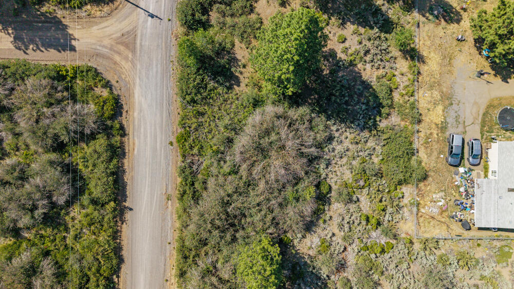 Oregon Shores - Land