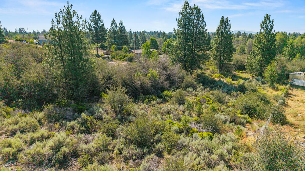 Oregon Shores - Land