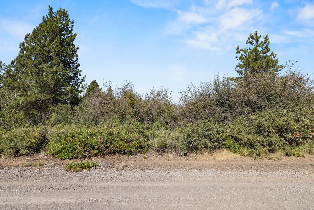 Oregon Shores - Land