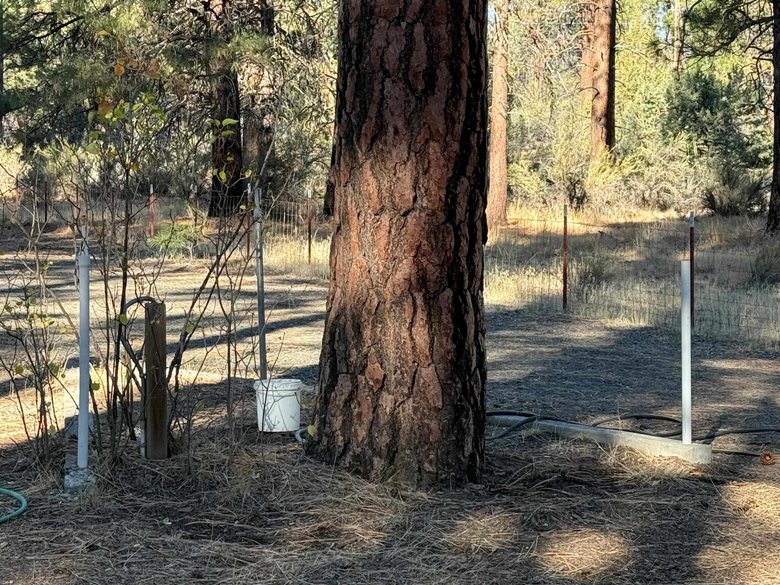 Klamath Falls Forest Estates -Hwy 66 Unit -Plat No. 1 - Residential