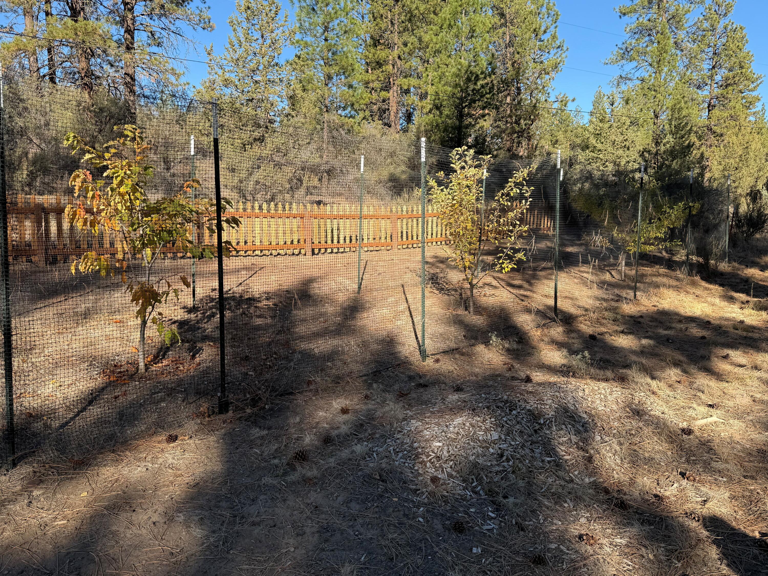 Klamath Falls Forest Estates -Hwy 66 Unit -Plat No. 1 - Residential