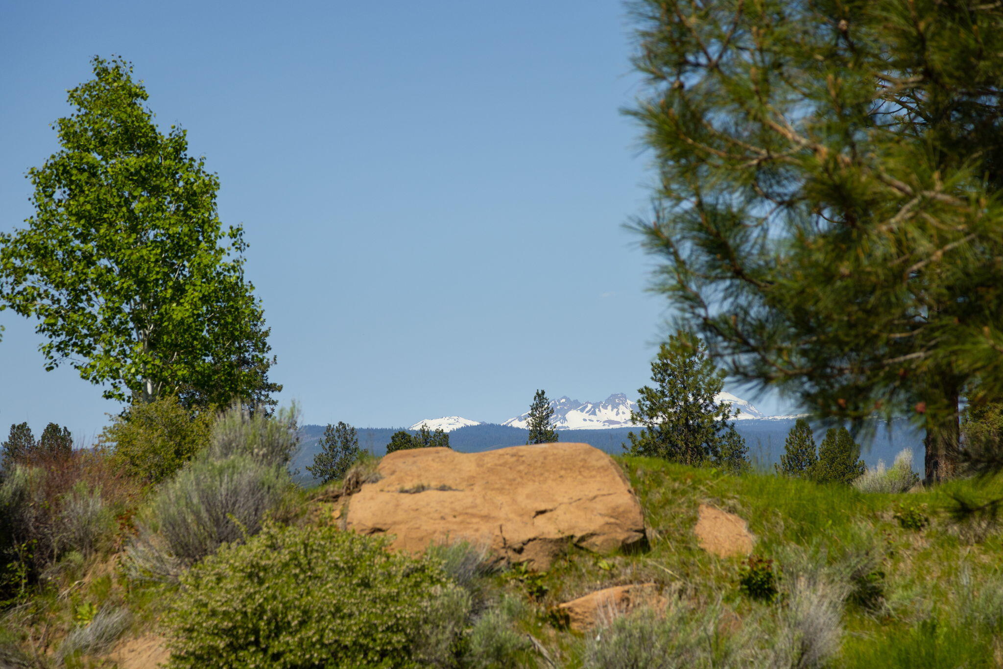 0 Hosmer Lake Drive Lot 289