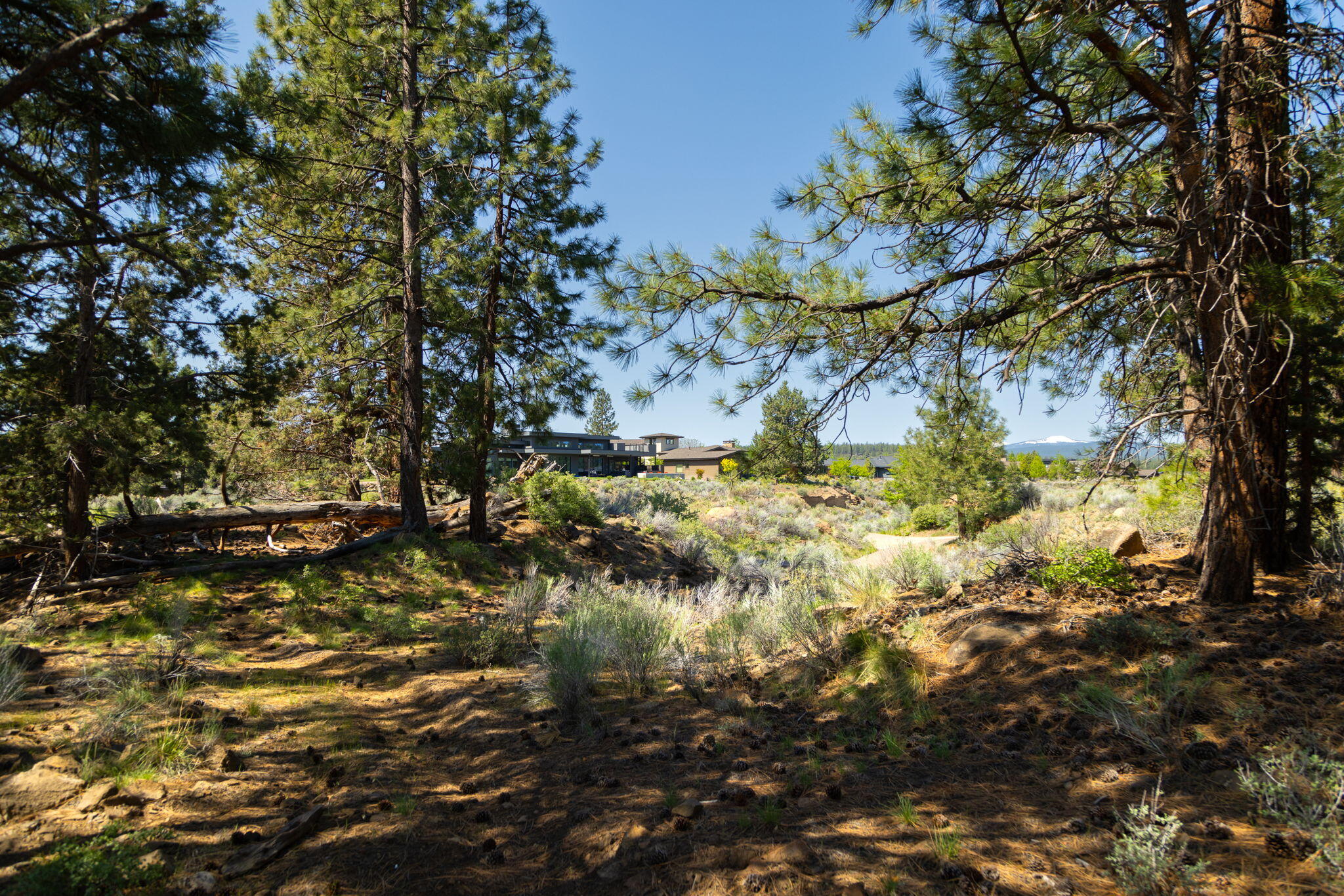 0 Hosmer Lake Drive Lot 289