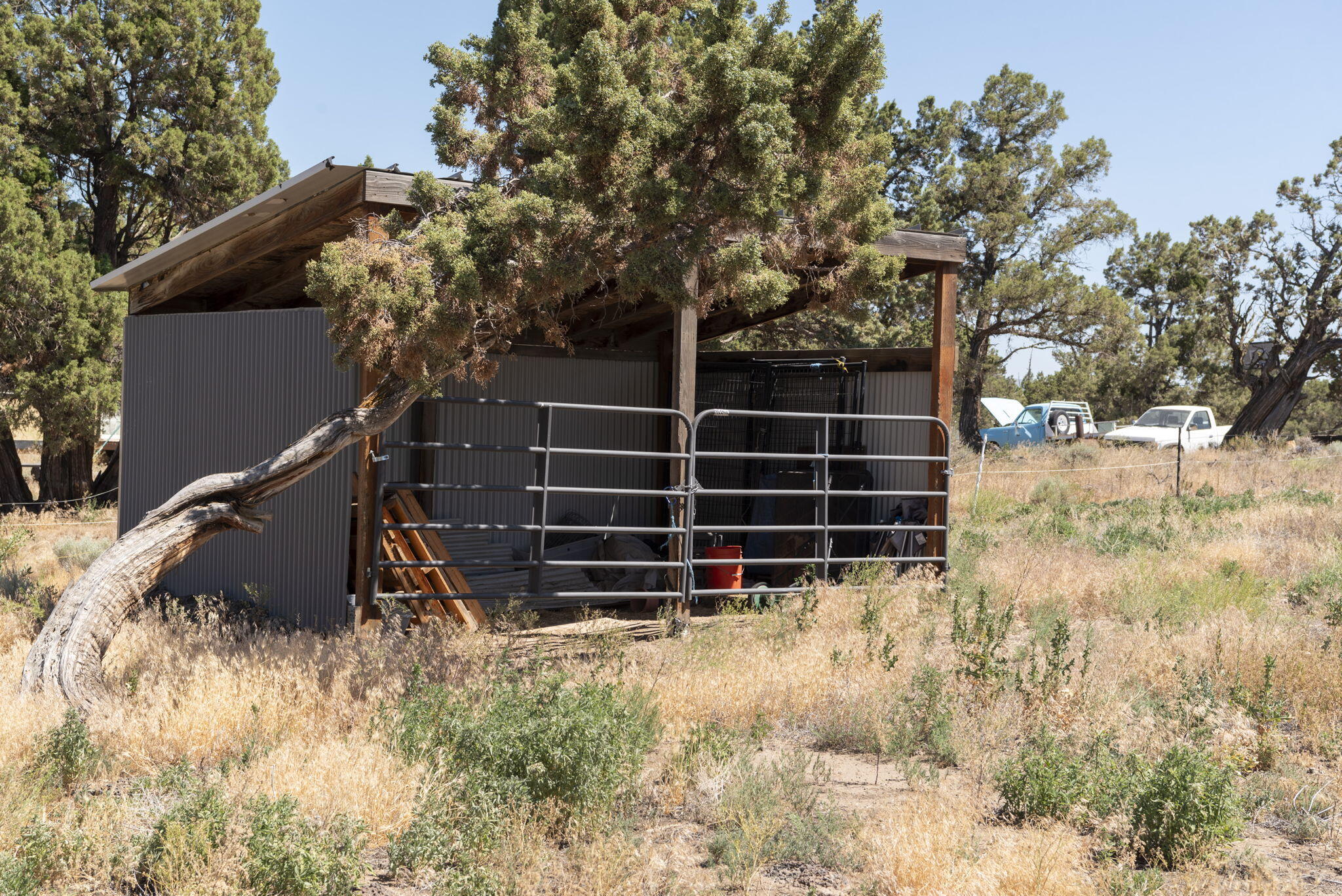 Bend Cascade View - Residential