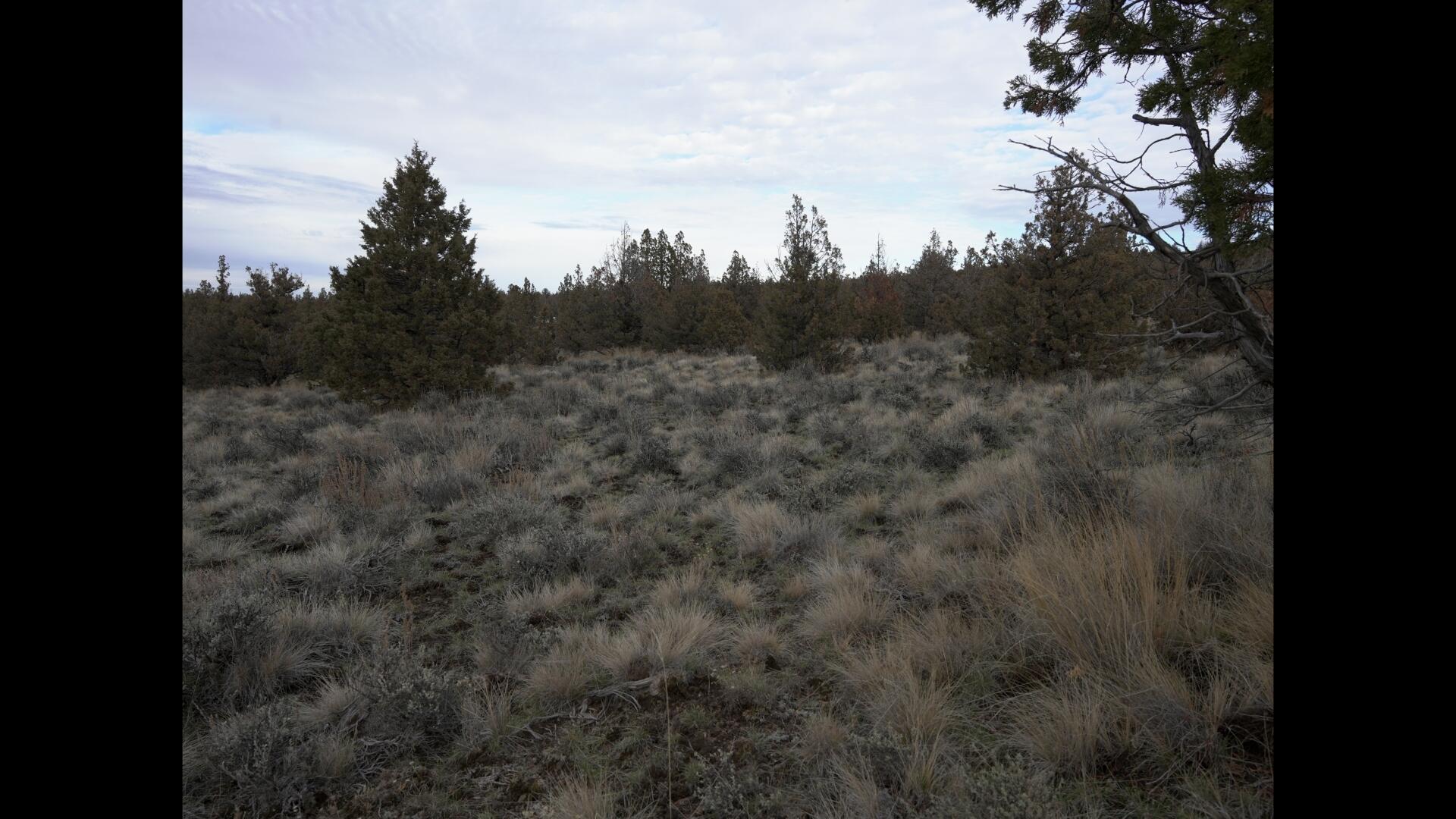Prineville Lake Acres 2 - Land