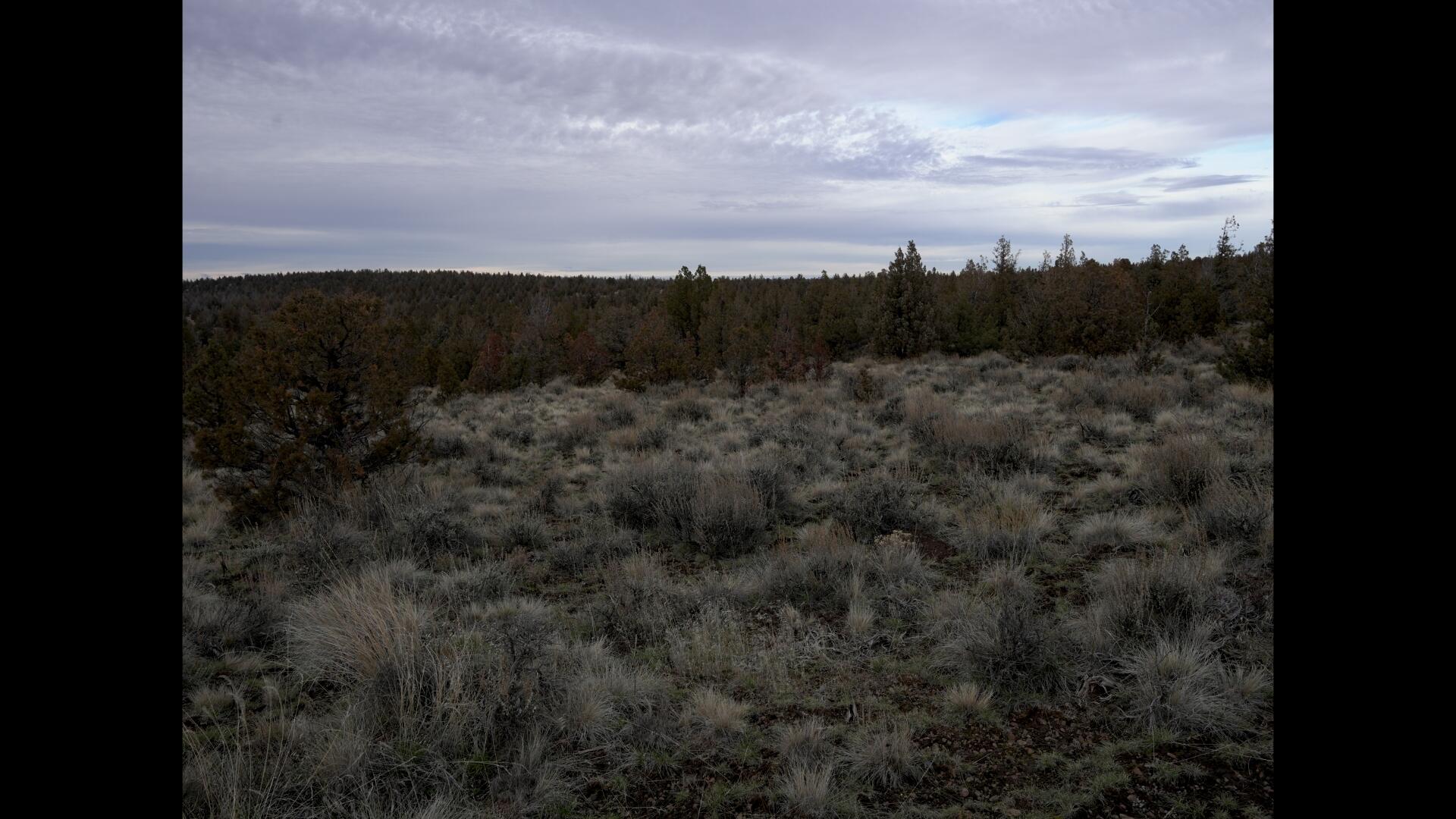 Prineville Lake Acres 2 - Land