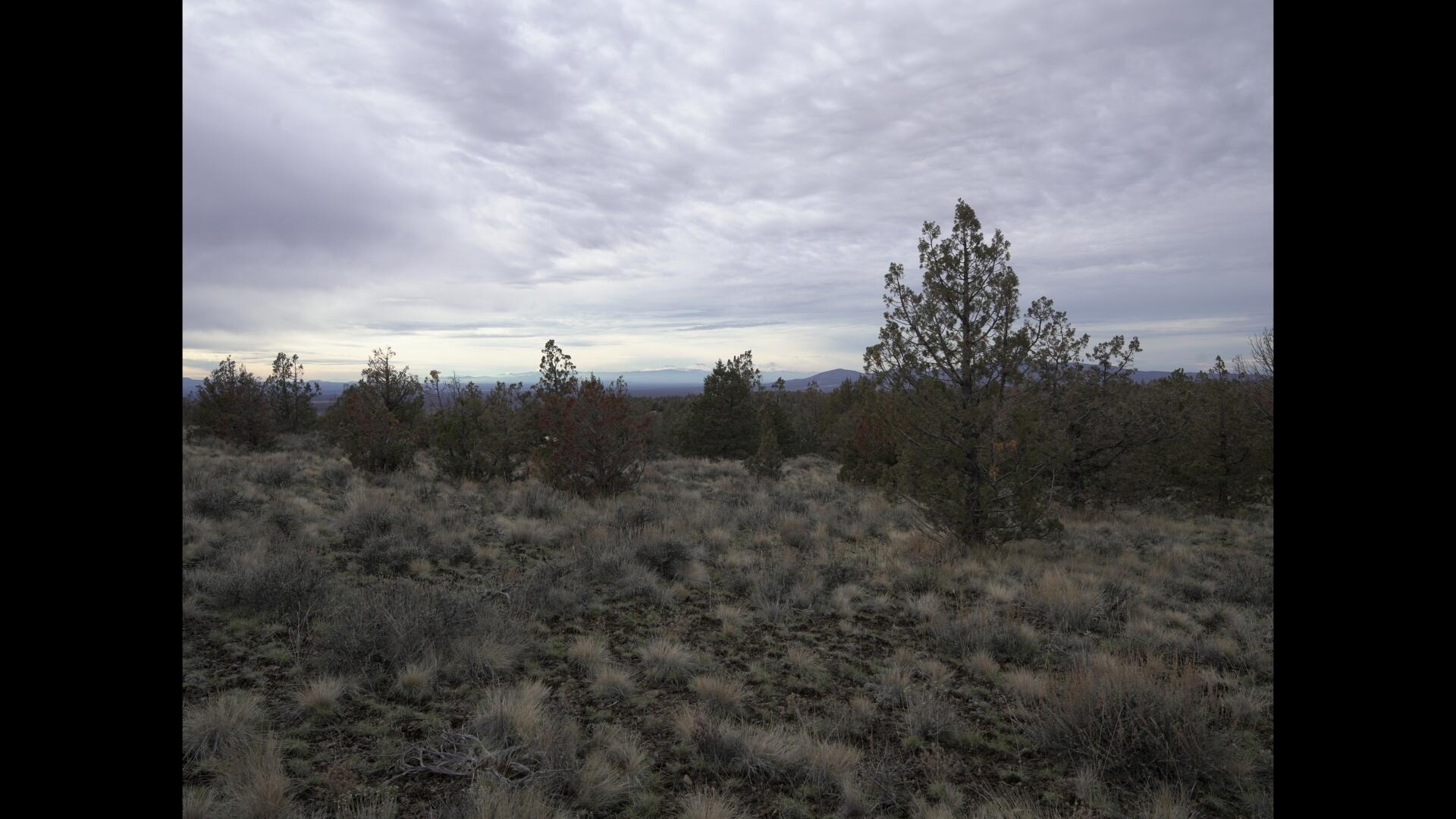 Prineville Lake Acres 2 - Land