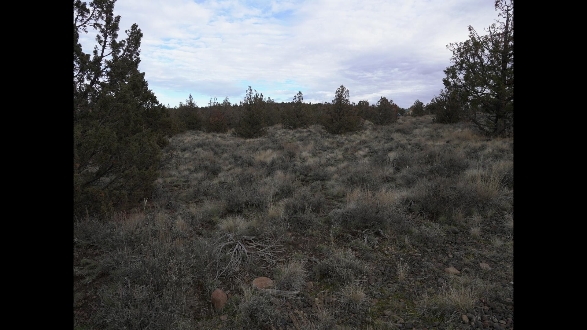 Prineville Lake Acres 2 - Land