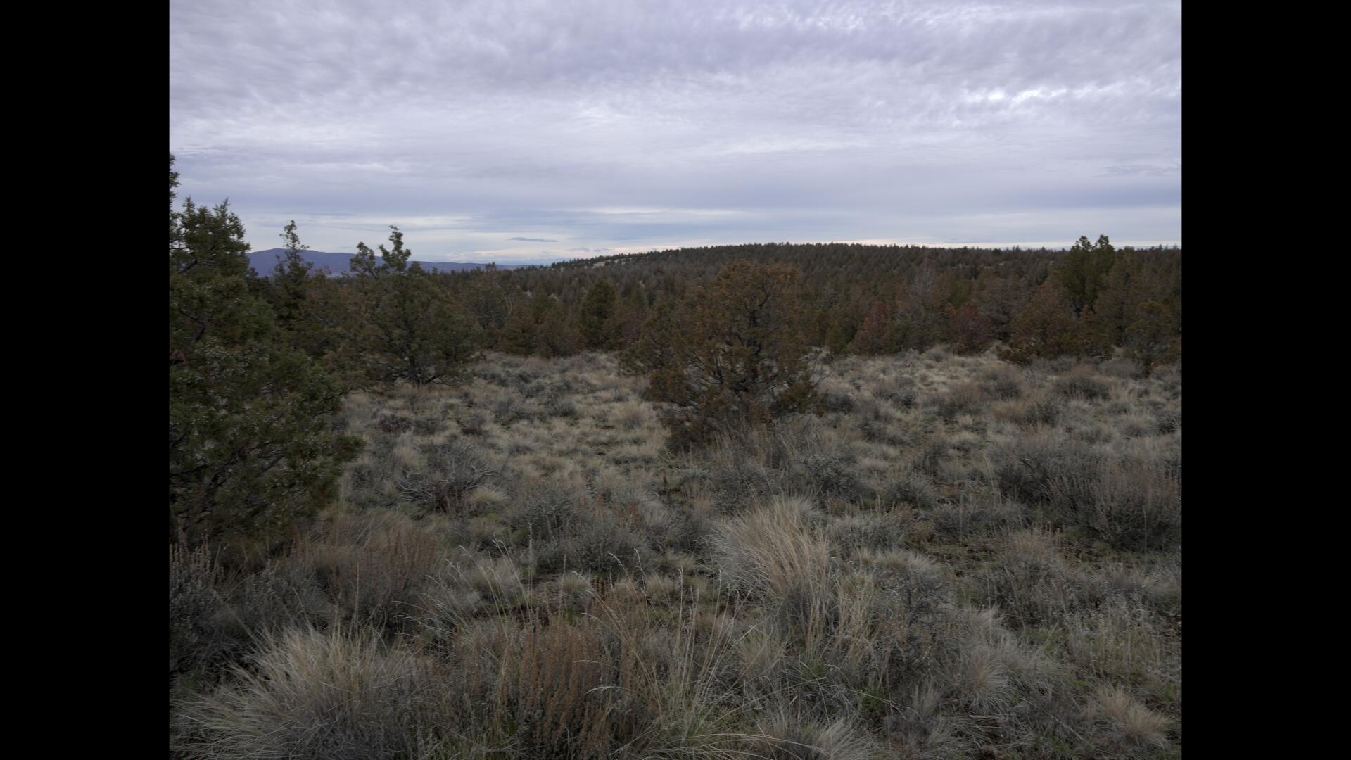 Prineville Lake Acres 2 - Land