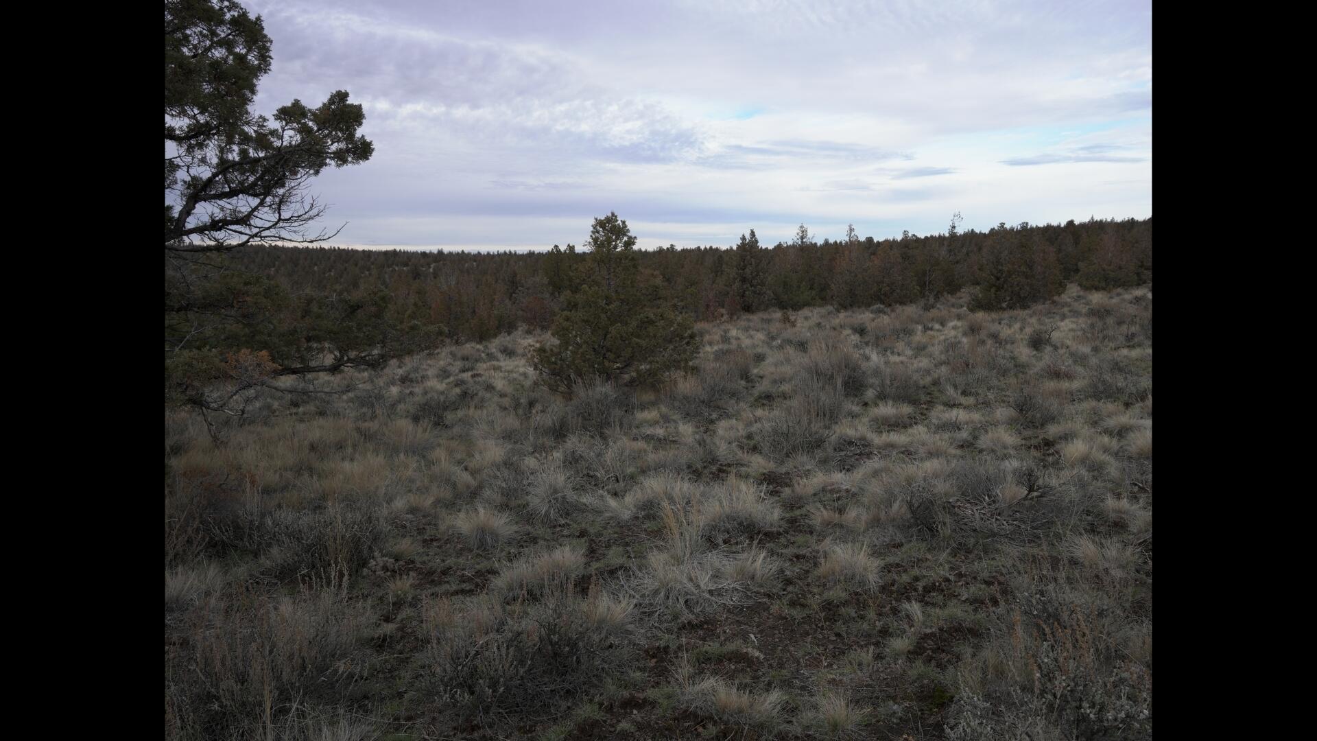 Prineville Lake Acres 2 - Land