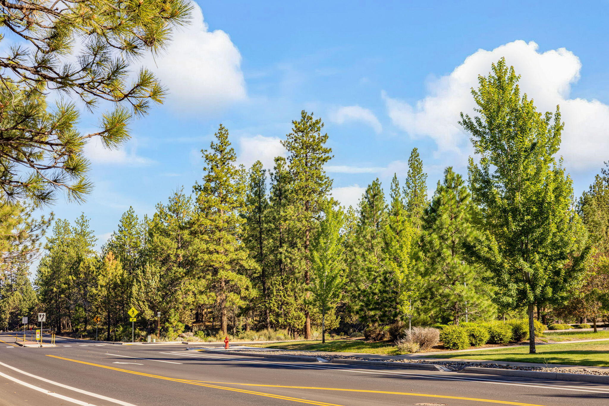 2455 NW Shevlin Park Road