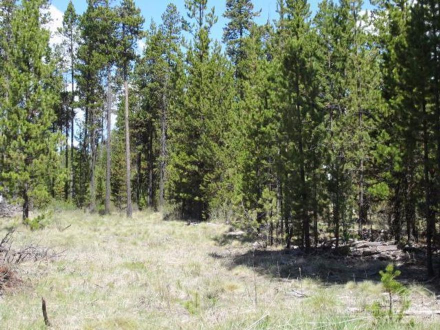 Enjoy all Central Oregon has to offer from this great location. Build-able half acre lot nestled in the beautiful Ponderosa Pine trees with easy access to US Forest lands and the Big Deschutes River. Septic feasibility approved and just minutes from La Pine State Park, Boat ramps, Sunriver, Mt. Bachelor, Cascade Lakes and great fishing!