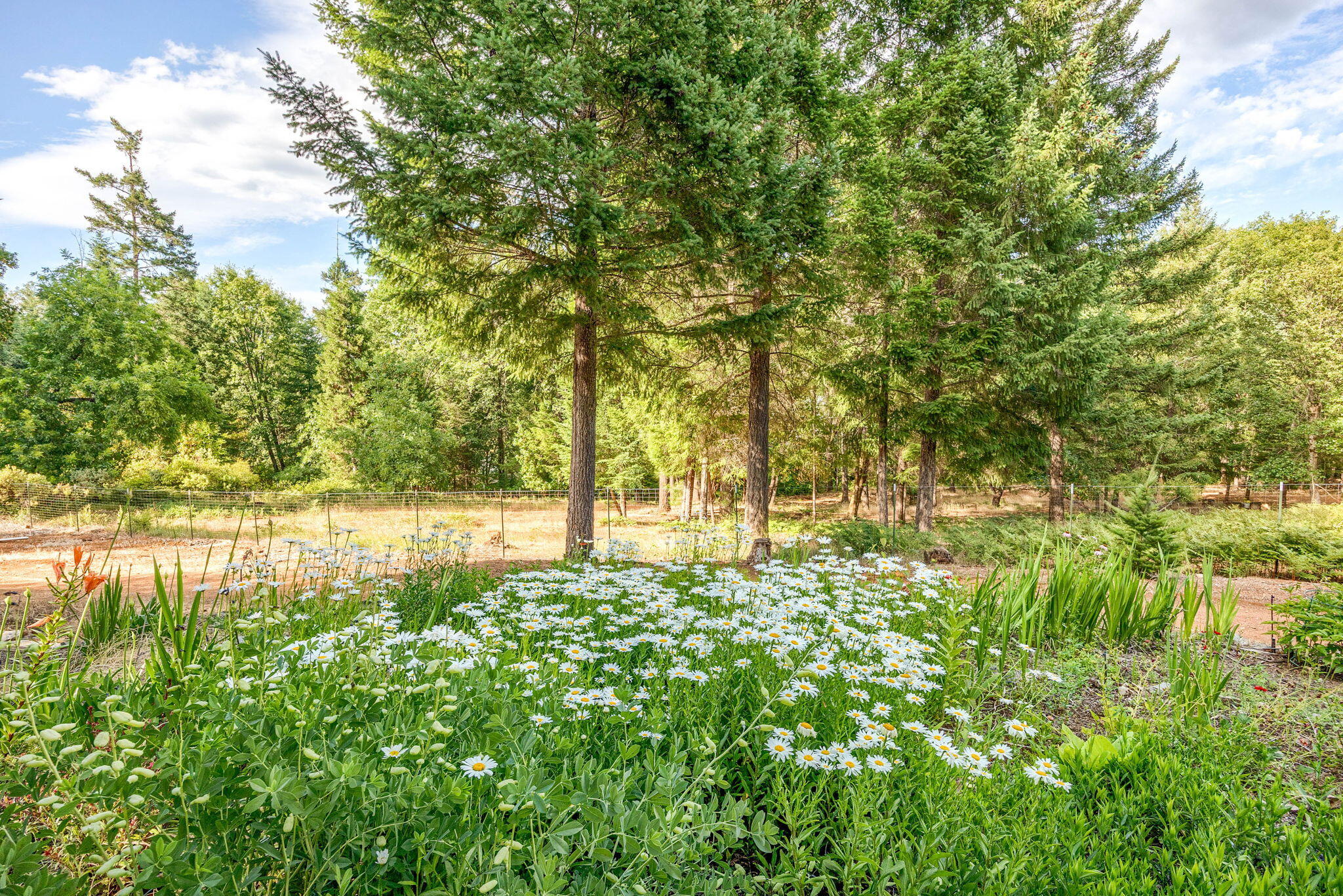 Whitestone Subdivision - Residential