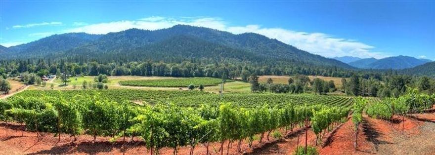 Beautiful vineyard & possible winery nestled in the picturesque Rogue River Valley. Just five minutes to downtown Rogue River and I-5 access and only 20 minutes to the airport. This 61.09 acre estate has 15 acres of planted vineyard w/irrigation rights & 5 ponds on the property. The home is 4219 sq ft & offers 3 bdrm, 3 bath, formal living, dining rm, very lg family & theatre rm. Beautiful inground swimming pool in this park-like setting. Newer 3094 sq ft barn & 1500 sq ft smaller barn. Plenty of pasture land & a gardeners paradise. The well produces 20 GPM per owner. This property has 3 tax lots & beautiful views. Outstanding vineyard site with south facing exposure planted in 28 year old Bordeaux varieties. 2013 Vineyard tonnage has 25.5 tons. 2014 Yield: 21.39 Tons 2015 Yield: 17.14 Tons (Changed to one cluster per shoot on every vine for 2015.)