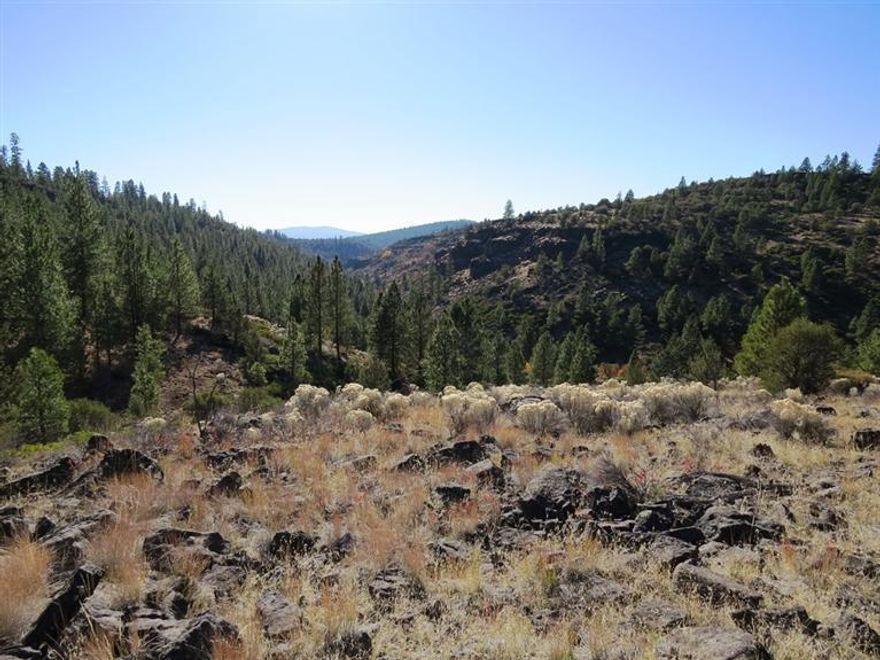 280 acres of prime hunting property near Bly, Oregon and at the foot of Gearhart Mtn. Two year round creeks with two separate drainages make this property rich in game habitat. This is a great property for Dad (Mom too) and the kids to hunt in an area known for Mule Deer, Elk and Antelope habitat. The property also abuts vast forest lands that hold very good Antelope populations. This is a very beautiful property with scenic draws and rock outcrops. There are also a couple of beaver ponds. 2 LOP tags for Deer, Elk, and Antelope. Build your off grid cabin or just setup camp. This is really a once in a lifetime opportunity to own that dream so affordably.