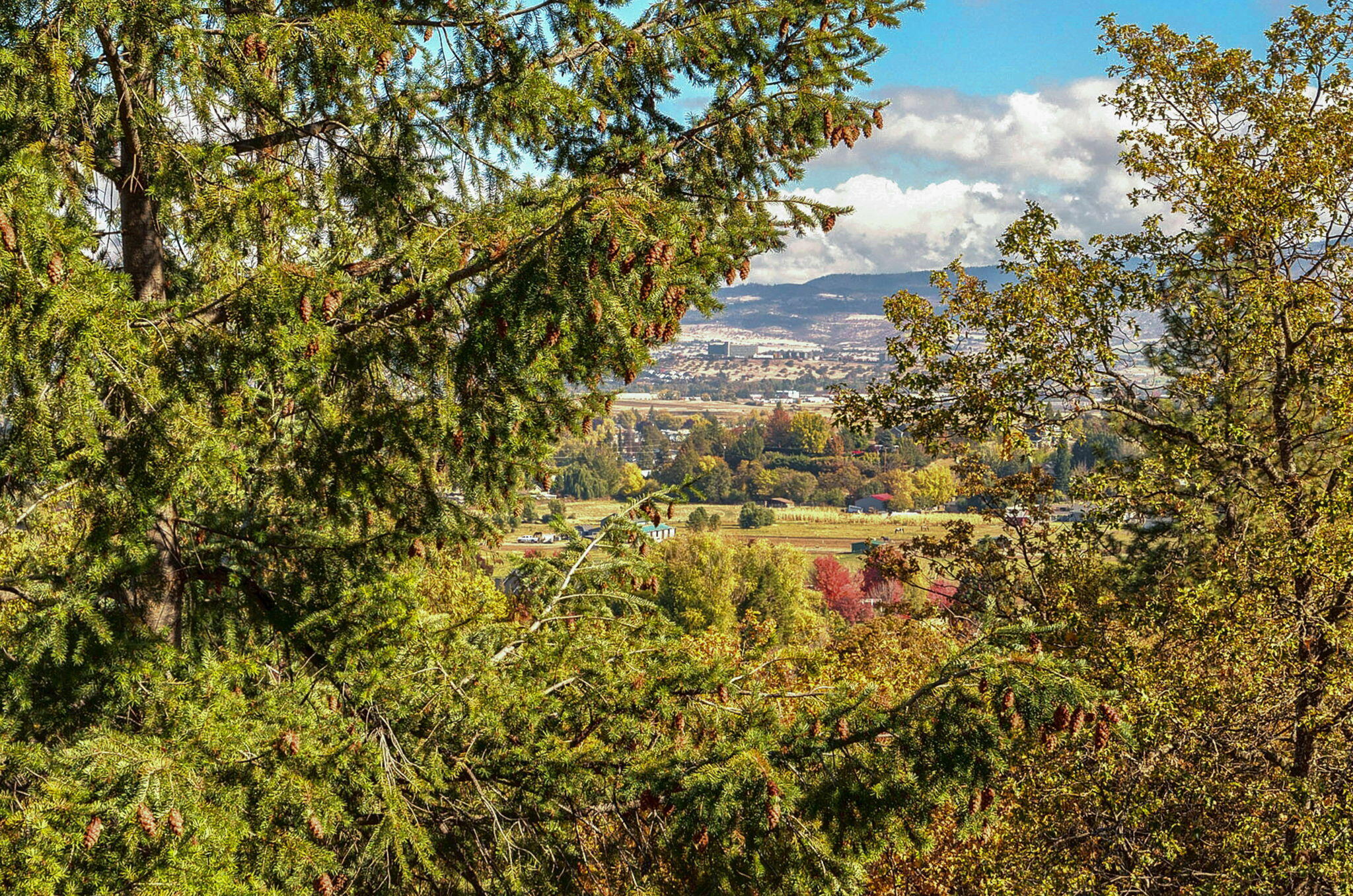 Cherry Heights Subdivision - Residential