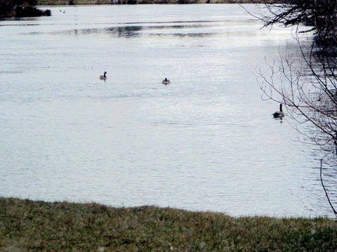 Tiny photo for 414 N Baker Avenue, Chiloquin, OR 97624 (MLS # 220217018)