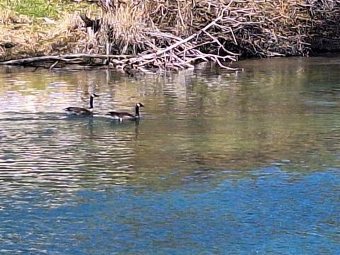 Tiny photo for 414 N Baker Avenue, Chiloquin, OR 97624 (MLS # 220217018)