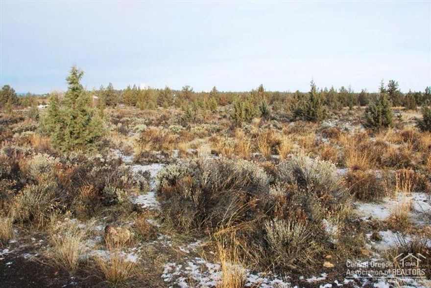 Spectacular views and open spaces abound at Crooked River Ranch. And this large, level lot is smack dab in the middle of it all. Septic approved with community water and power at the street, development is a breeze. Plus all the Ranch has to offer: golf, hiking, tennis, swimming, abundant wildlife and rich community life. Build your dream home today!