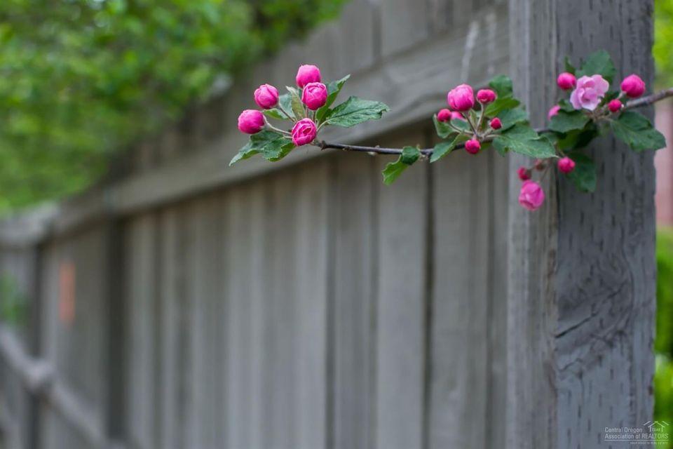 River Terrace - Residential