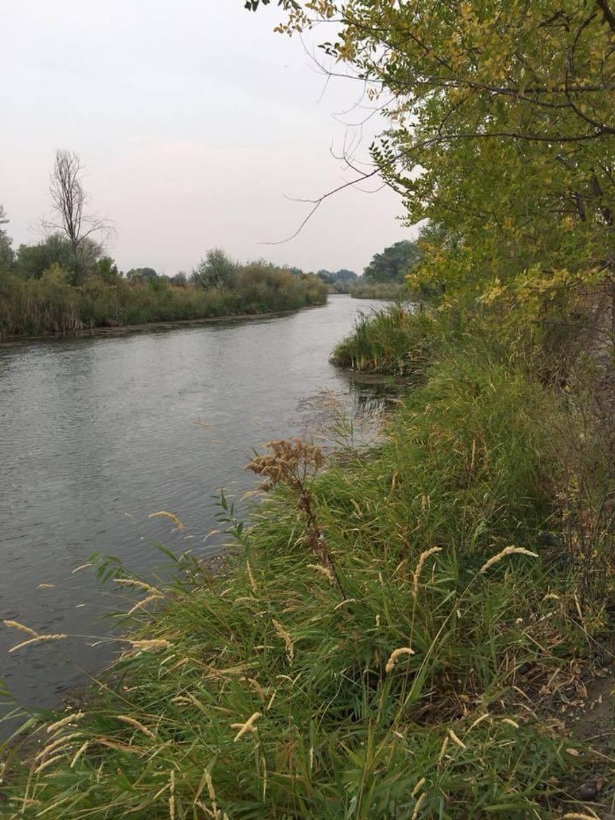 Malheur River frontage property. 19 acres well irrigation. OID. Homestead with 4 bay stall and other out buildings. Sit and watch the river and wildlife. Property sold as is. Equipment and travel trailer and 5th wheel not included in sale.